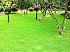 iphone_upload_pic-杭州花家山庄