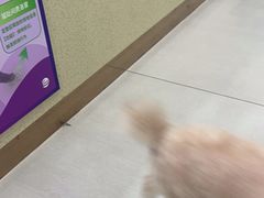 -天宠宠物医院24小时·急重症诊疗中心·全科·腔镜特色(和平分院)