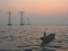 -宝安西湾红树林湿地公园