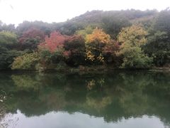 -白马涧龙池景区