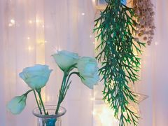 -Jo's Garden