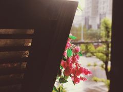 -亲回家吃饭餐厅(黄陂店)