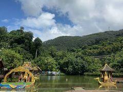 -西双版纳原始森林公园
