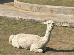 -南京金牛湖风景区