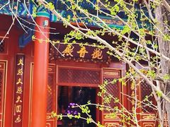 -八大处公园