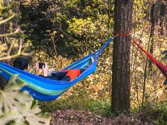 -铁山坪森林公园