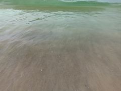 -玫瑰海岸文化旅游度假区