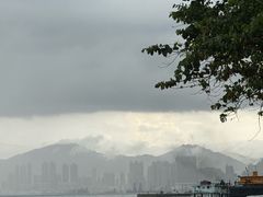 -香港大学