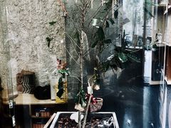 -Infica Coffee