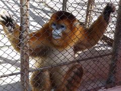 -哈尔滨北方森林动物园