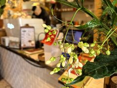 -萤火虫咖啡(后海店)