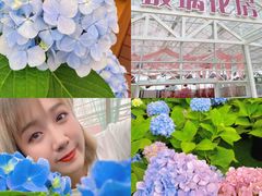 景点-盈香心动乐园