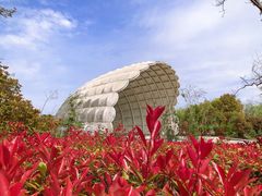 -吴淞炮台湾湿地森林公园烧烤区