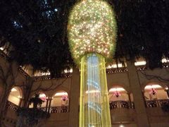 iphone_upload_pic-深圳东部华侨城茵特拉根酒店