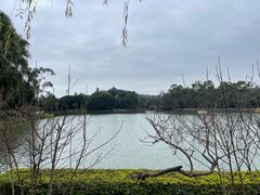 -西湖公园(鼓楼区)