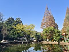 -白马涧龙池景区