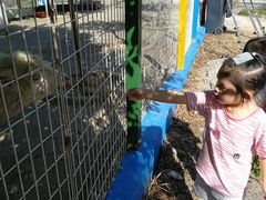 -武汉紫薇都市田园