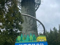 -黄海国家森林公园