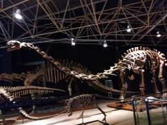 -世界恐龙谷景区