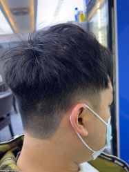 -藤野造型