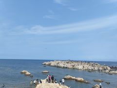 -养马岛旅游度假区