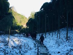 -莫干山风景区
