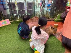 -正佳雨林生态植物园