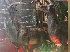 -新白鹿餐厅(嘉兴八佰伴华府店)
