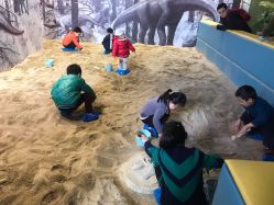 点击看大图 -恐龙探索乐园(磁器口店)