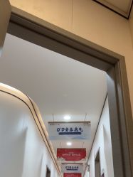 -郑荃丽格医疗美容