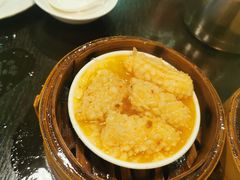 蒜蓉蒸鲜鱿-添运来(茶园奥园广场店)