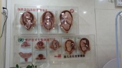 -五洲妇儿医院
