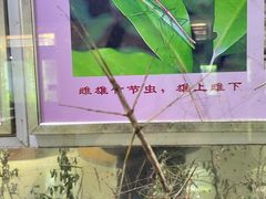 -上海昆虫博物馆