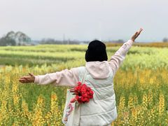 -白鹭湾湿地公园