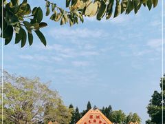 -深圳野生动物园