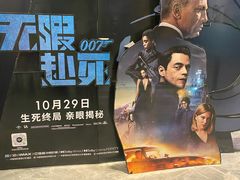 -奥斯卡升龙国际影城(RealD Cinema)