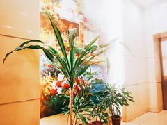-上海交通大学医学院附属瑞金医院(总院)