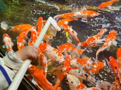 -太平洋海底世界