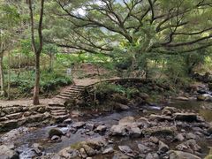 -广州市石门国家森林公园