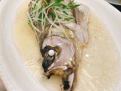 清蒸白鱼-小乐荟私房菜(宁海里店)