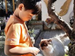 -喵屿·大理花园猫咖