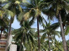 -三亚亚龙湾雅高美爵酒店