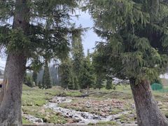 -新疆那拉提国家旅游度假区