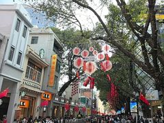 -越秀西湖花市(广州城市广场花卉店)