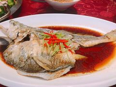 -海岛渔村大酒店(云霄路店)