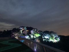 -飞凤山奥体公园