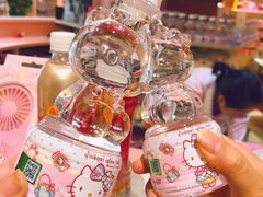 -安吉Hello Kitty乐园