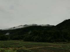 -仙岳公园