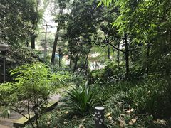 -成都市活水公园