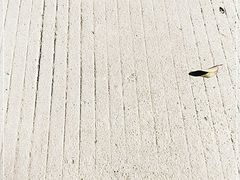 -陆氏太后饼(富平店)